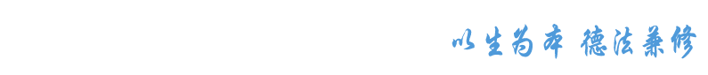 bevictor伟德